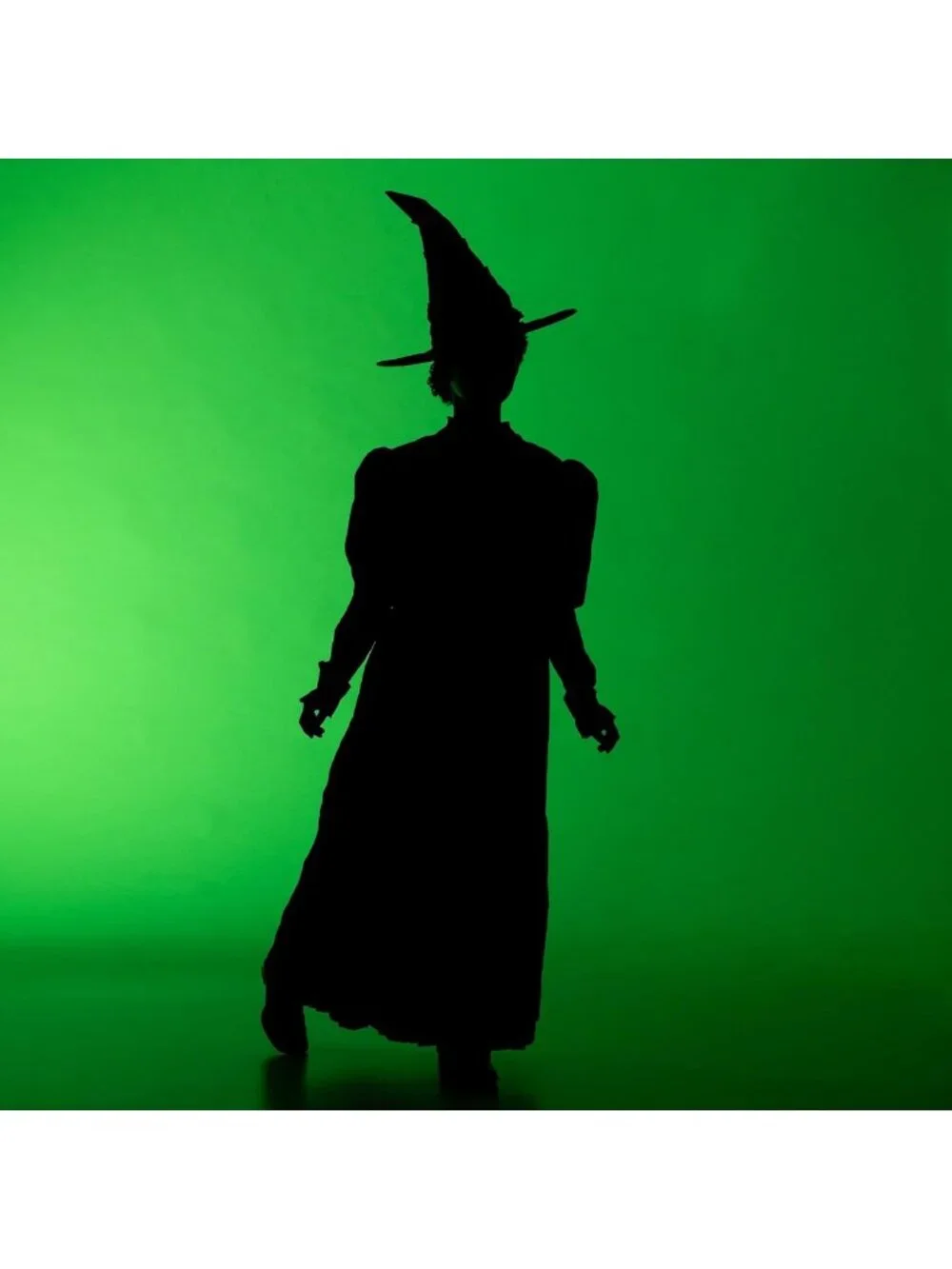 Deluxe Girls Wicked Elphaba Costume with Cape & Hat, Size 10-12, Perfect for